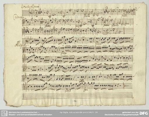 Concerti grossi, HWV 312 <2. Adagio>