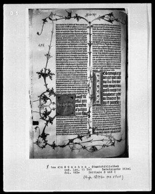 Lateinische Bibel — Initialen S und I, Folio 183verso