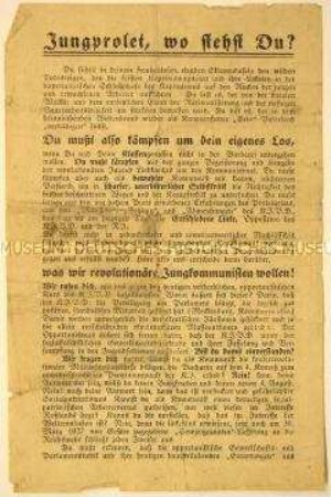 Programmatischer Agitations- und Beitrittsaufruf der Entschiedenen Linken an junge Arbeiter - für die Wiedergeburt der starken kommunistischen Arbeiterjugendorganisation