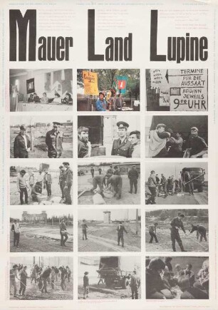 Plakat: Ausstellung "Mauer Land Lupine"