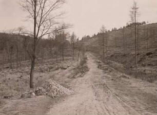 Lückendorfer Paßstraße : Lückendorf, Paßstraße. Die "Alte Gabler Strasse" gegen das obere Ende der Haarnadelkurve