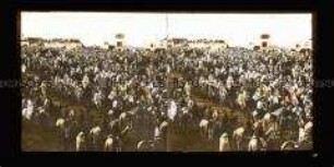 Truppenparade, Menschenmenge vor Stadtkulisse, Marokko