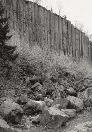 Scheibenberg (807 m). Basaltbruch an der Westseite. Blockhalde gegen "Orgelpfeifen"