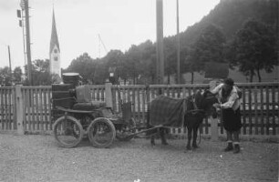 Ponywagen : Frau an einem beladenen Ponywagen
