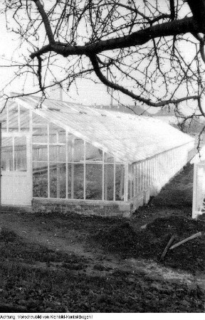 Dresden, Kaditz. Gärtnerische Produktionsgenossenschaft (GPG) Gartenbau Kaditz. Neue Gewächshäuser, 1959