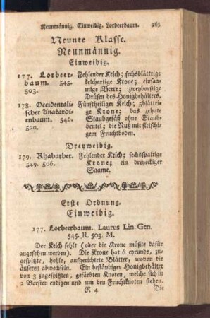 Neunte Klasse. Neunmännig