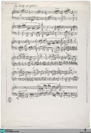 [Sehr lebhaft und sprühend] - Mus. Hs. 1418,224