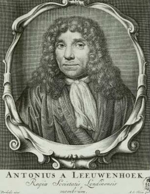 Bildnis Anthonius van Leeuwenhoek