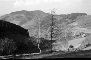 Landwasser: Landschaft, Blick ins Tal