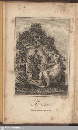 Pomona
