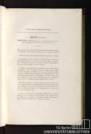 Traité des arbres fruitiers. Belle di riom. Prunus riomensis, fructu ovato, magnitudinis mediae, basi depresso, dilutè rubro, pulvere violaceo onusto, atque punctis flavis consperso.