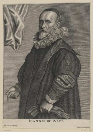 Bildnis des Ioannes de Wael