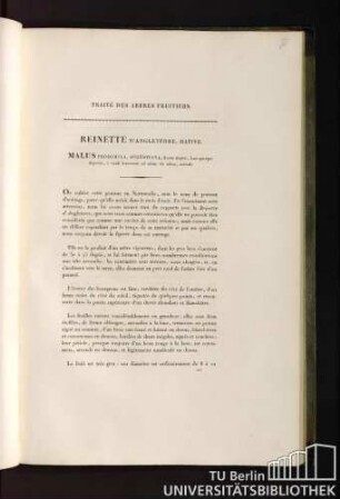 35. Reinette D'Angleterre, Hative. Malus prosomila, augustiana, fructu magno, basi apiciquedepresso, è viridi lutescente ad solem vix rubro, aestivali.