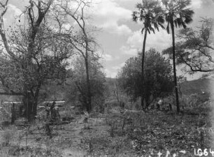 im Busch : Savannenlandschaft mit Expeditionsteilnehmern und Lastwagen