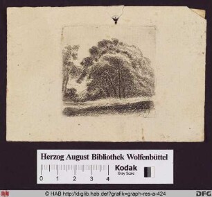 Großer Baum in der Landschaft.