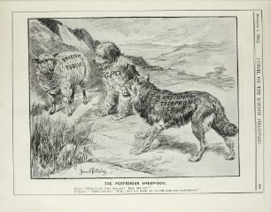 The perfidious sheep-dog