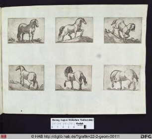 oben rechts: Ein einen Hügel hinabsteigendes Pferd, nach rechts gerichtet.