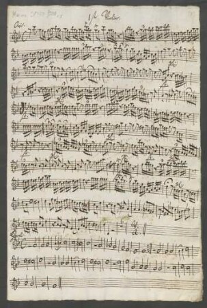 1ste Violine