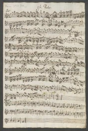 1ste Violine