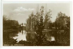 Geithain. Schwanenteich