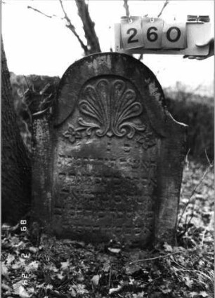 Grabstein 260 (Index: 99752187) Material: Sandstein Zustand: leicht verwittert Maße HxBxT: 86x61x10 cm Beschreibung: Stele, Konvexbogenabschluß, Schriftfeld eingetieft Symbolik: Muschel, Blüten: Grabstein 260