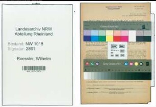 Entnazifizierung Wilhelm Roessler , geb. 13.04.1893 (Bankdirektor)