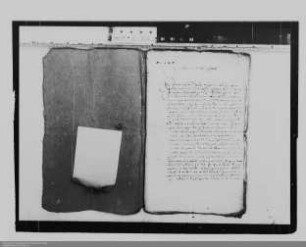 . Berichte der nassauischen Gesandten Franz Melchior und J. H. Saur vom Reichstag zu Regensburg: Band 2