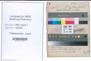 Entnazifizierung Josef Triebenecker , geb. 05.08.1889 (Lademeister)
