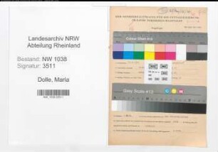 Entnazifizierung Maria Dolle , geb. 13.04.1905 (Lehrerin)