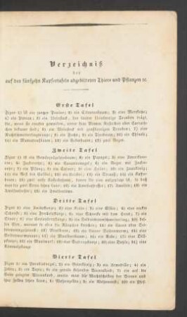 Verzeichniß der auf den fünfzehn Kupfertafeln abgebildeten [...]