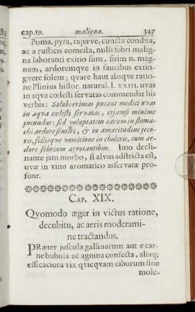 Cap. XIX. Quomodo æger in victus ratione, decubitu, ac aeris moderamine tractandus.