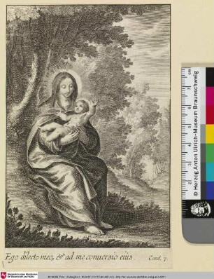 [Maria mit dem Jesuskind]