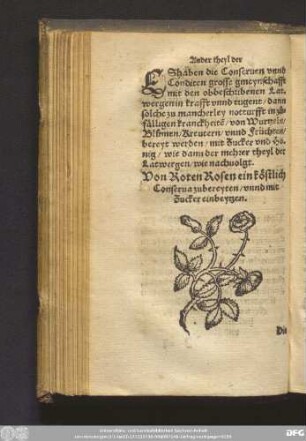 Von Roten Rosen ein köstlich Conserva zubereyten/ unnd mit Zucker einbeytzen.