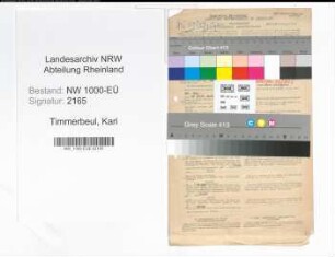 Entnazifizierung Karl Timmerbeul, geb. 11.01.1890 (Angest.)