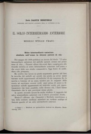 Il Solco Intermediario Anteriore Del Midollo Spinale Umano