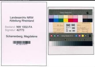 Entnazifizierung Magdalene Scharrenberg, geb. 19.02.1909 (Baeckereimeisterin)
