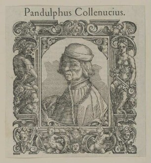 Bildnis des Pandulfo Collenuccio