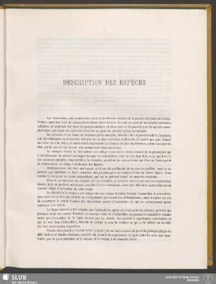 Description Des Espèces