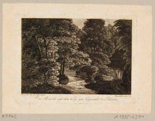 Der Keppgrund oberhalb von Pillnitz (Dresden-Pillnitz) und Hosterwitz (Dresden-Hosterwitz) bei Dresden