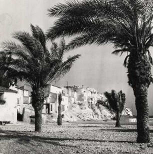 Benidorm. Spanien. Blick auf die Hafenstadt am Mittelmeer. Palmen am Ufer vor dem Dorf