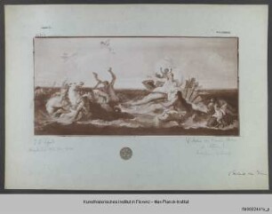 Der Triumph der Amphitrite - Triumph der Amphitrite