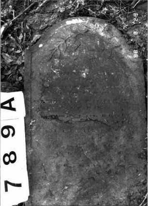 Grabstein 789 (Index: 100099493) Maße HxBxT: 98x42x10 cm Symbolik: Zweige Besonderheit: Kindergrab: Grabstein 789A