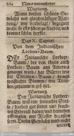 Das X. Capitel. Von dem Indianischen Lorbeer-Baum.