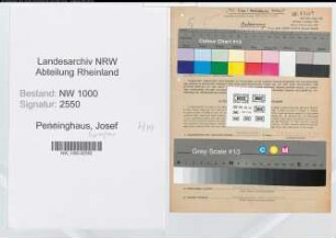 Entnazifizierung Josef Peppinghaus, geb. 01.03.1902 (Kraftfahrer)