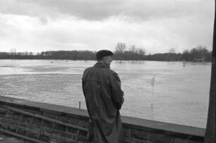 Hochwasser des Rheins mit Pegelstand 7,84 m