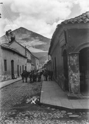 Maultiere (Bolivienreisen Schmieder 1924-1925)