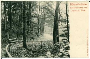 Kötzschenbroda. Promenadenweg nach Schwarzes Teich