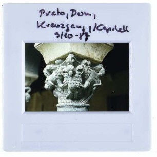 Prato, Dom