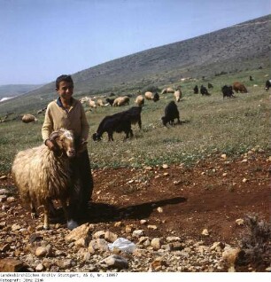 Israel: Galilaea