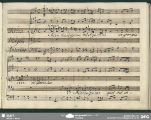 Cavatina: "Serva umilissima bel Signorino"
